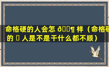 命格硬的人会怎 🐶 样（命格硬的 ☘ 人是不是干什么都不顺）